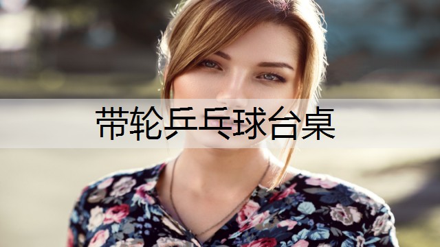 带轮乒乓球台桌