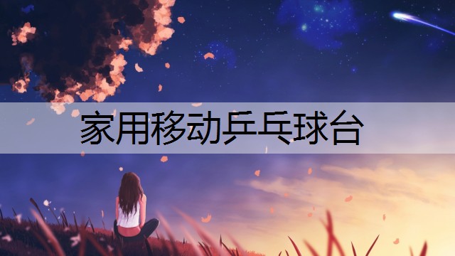 家用移动乒乓球台