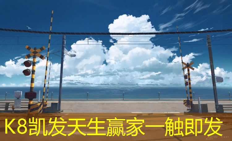 K8凯发天生赢家一触即发：塑胶跑道验收记录