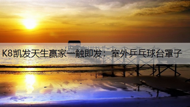 室外乒乓球台罩子