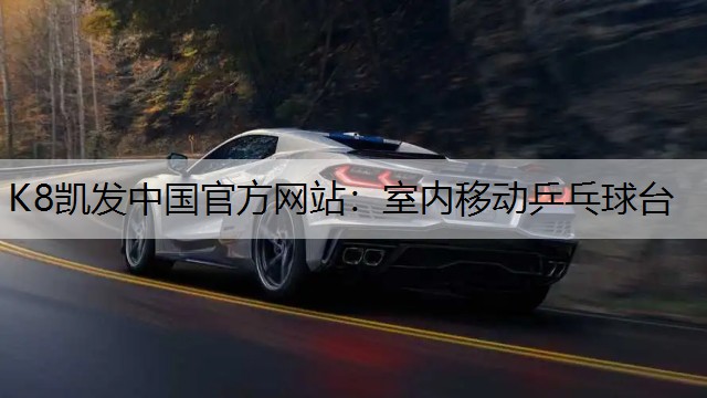 室内移动乒乓球台